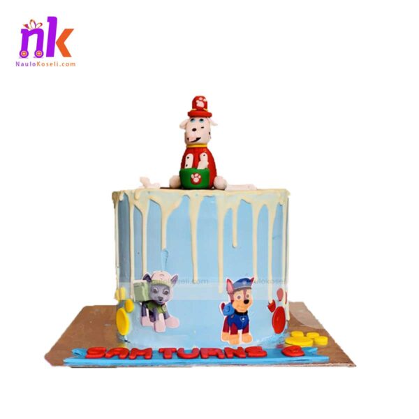 Paw Patrol Cake in Nepal