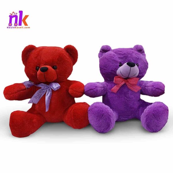 Teddy Bear Gift