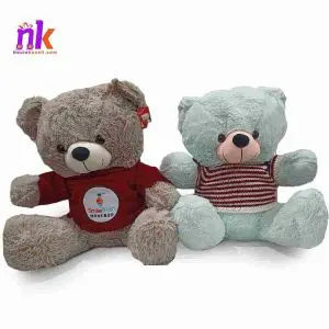 Valentine's Special Teddy Bear