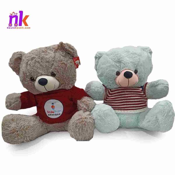 Valentine's Special Teddy Bear