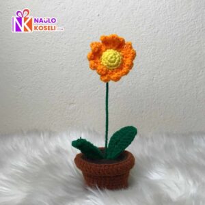 Crochet Flower with Crochet Pot