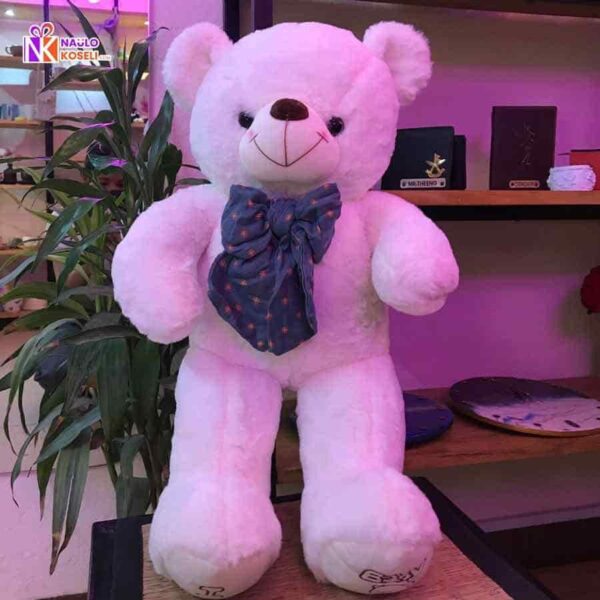 White Teddy bear with bow