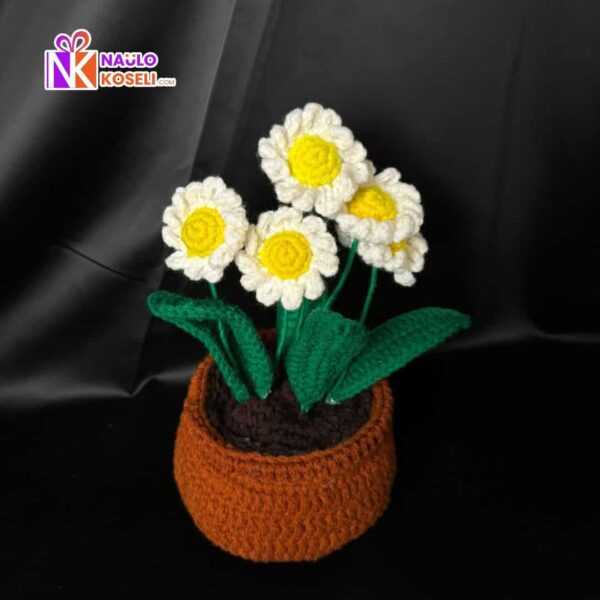 Potted Home Decor Flower