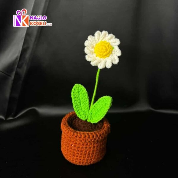 Potted Crochet Daisy