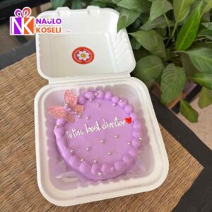 Cute Purple bento Nepal