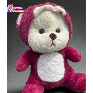 Maroon hoodie teddy bear