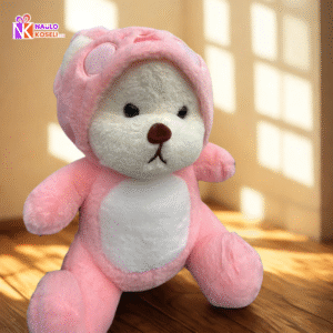 Pink hoodie teddy bear