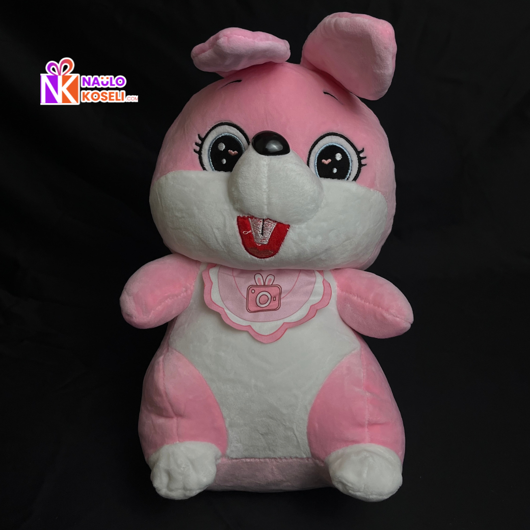 Pink Rabbit Soft Toy